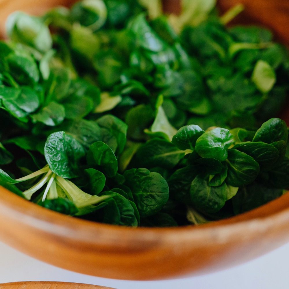 Homefarming Feldsalat Vit