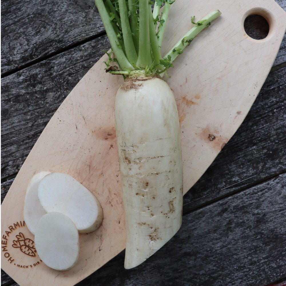 Homefarming Rettich