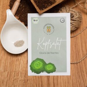 Kopfsalat Nantes