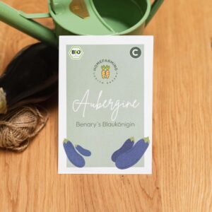 Aubergine Benary