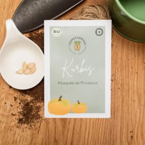 Kürbis musquée de Provence
