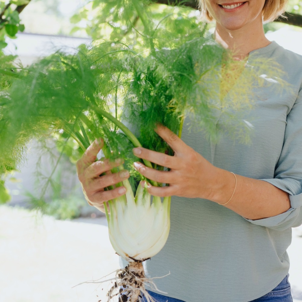 Homefarming Knollenfenchel
