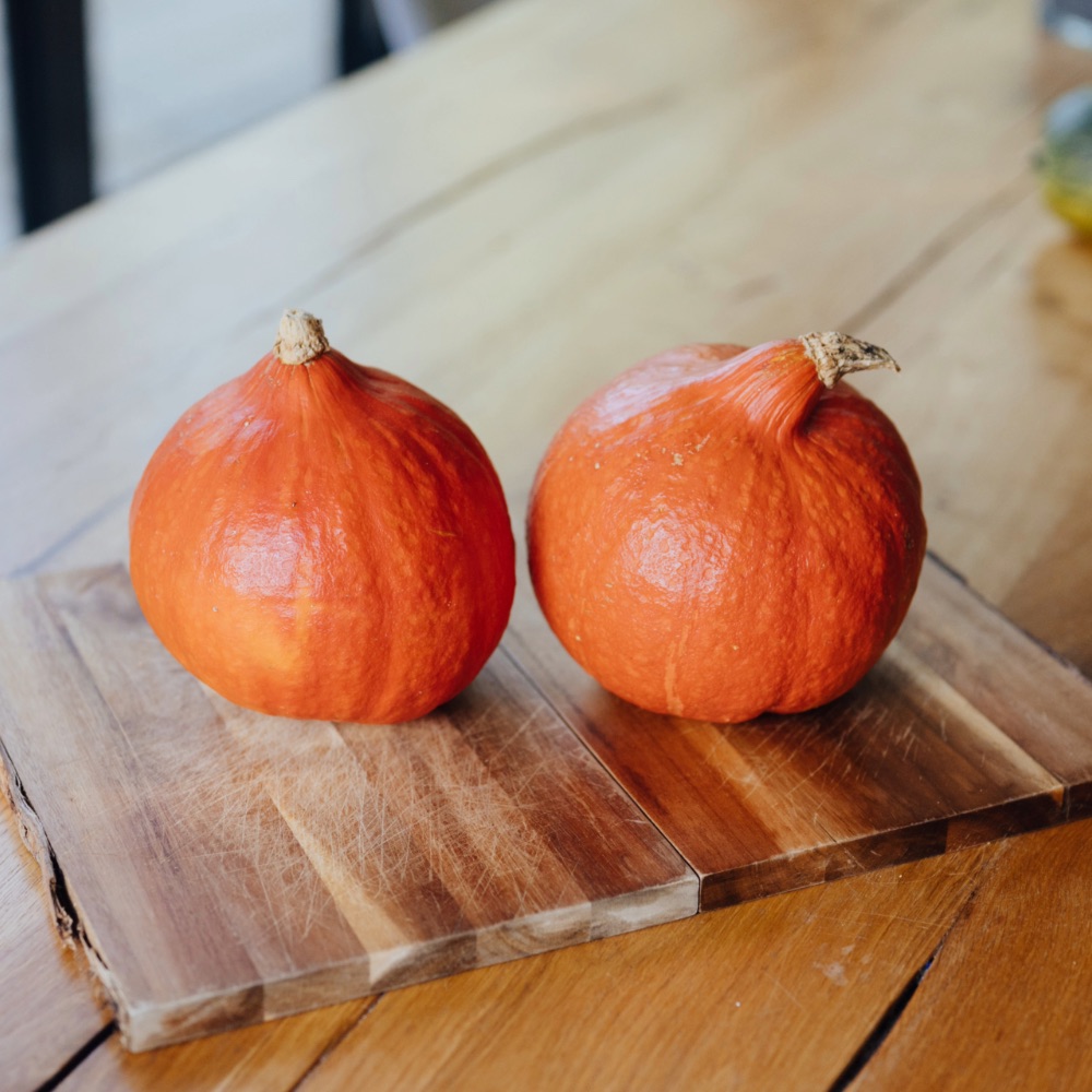 Homefarming Kürbis Hokkaido