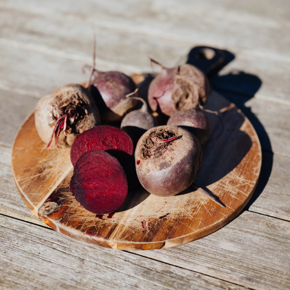 Homefarming rote bete