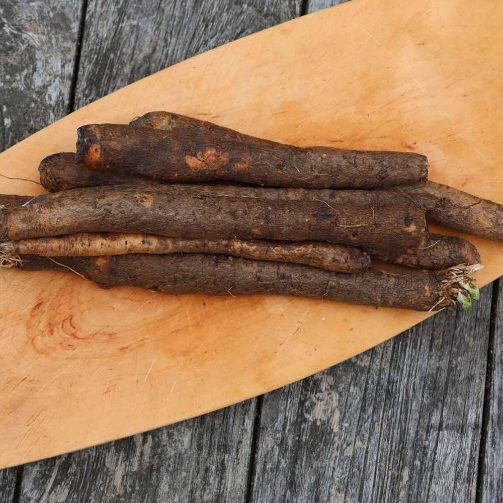 Homefarming Schwarzwurzel