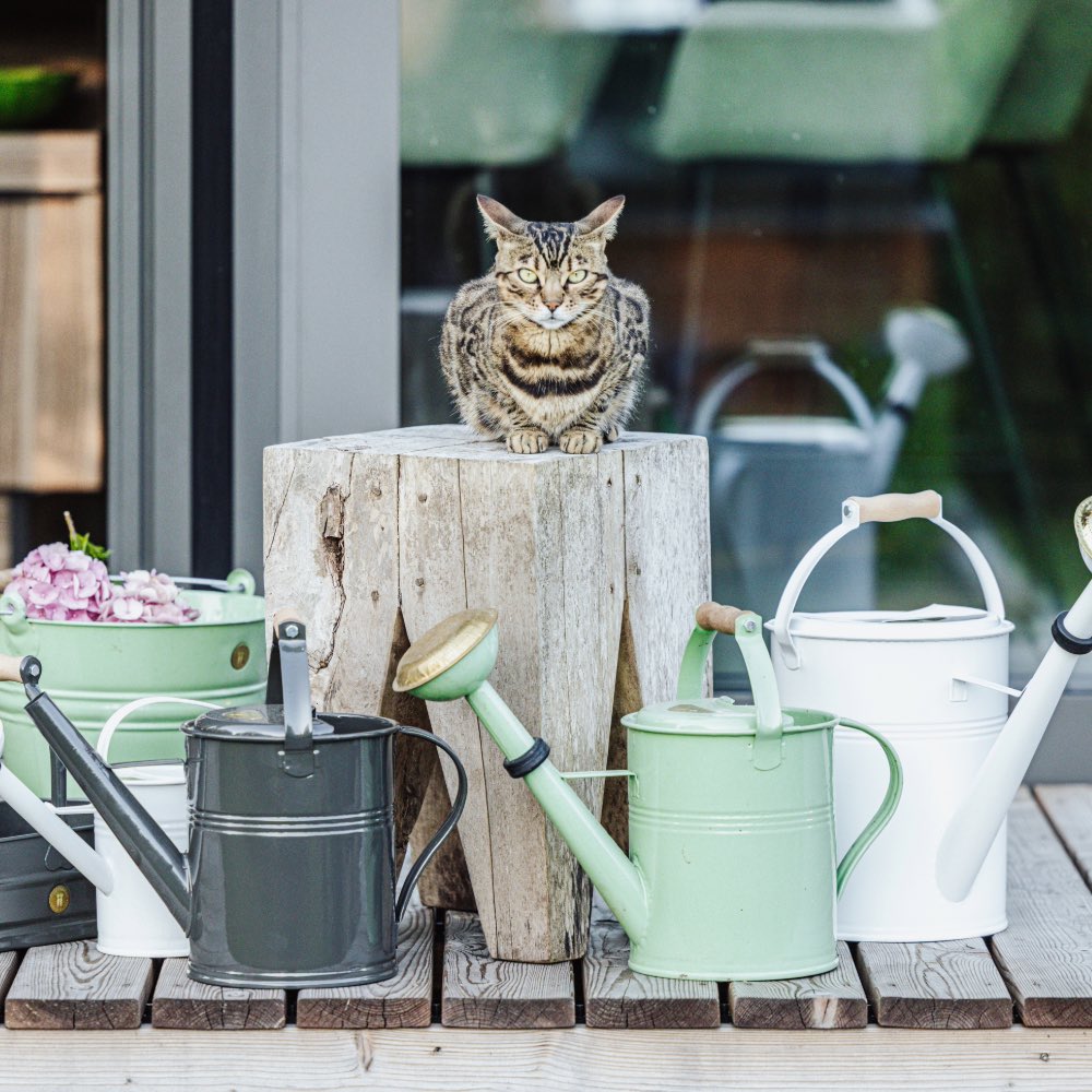 Homefarming Gießkannen gemischte Farben