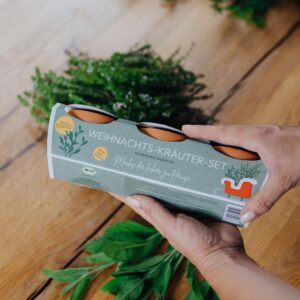 Weihnachts-Kraeuter-Set