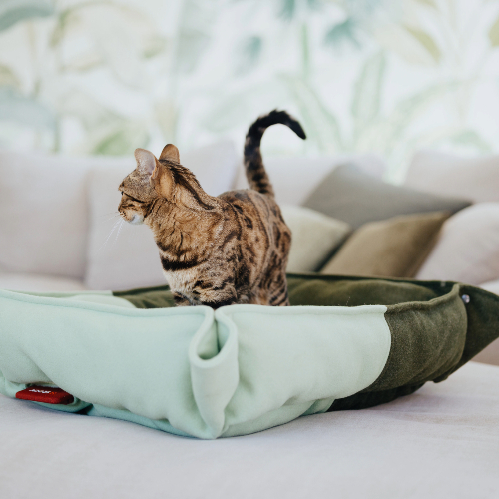 Nook Katzenbett Sage Green