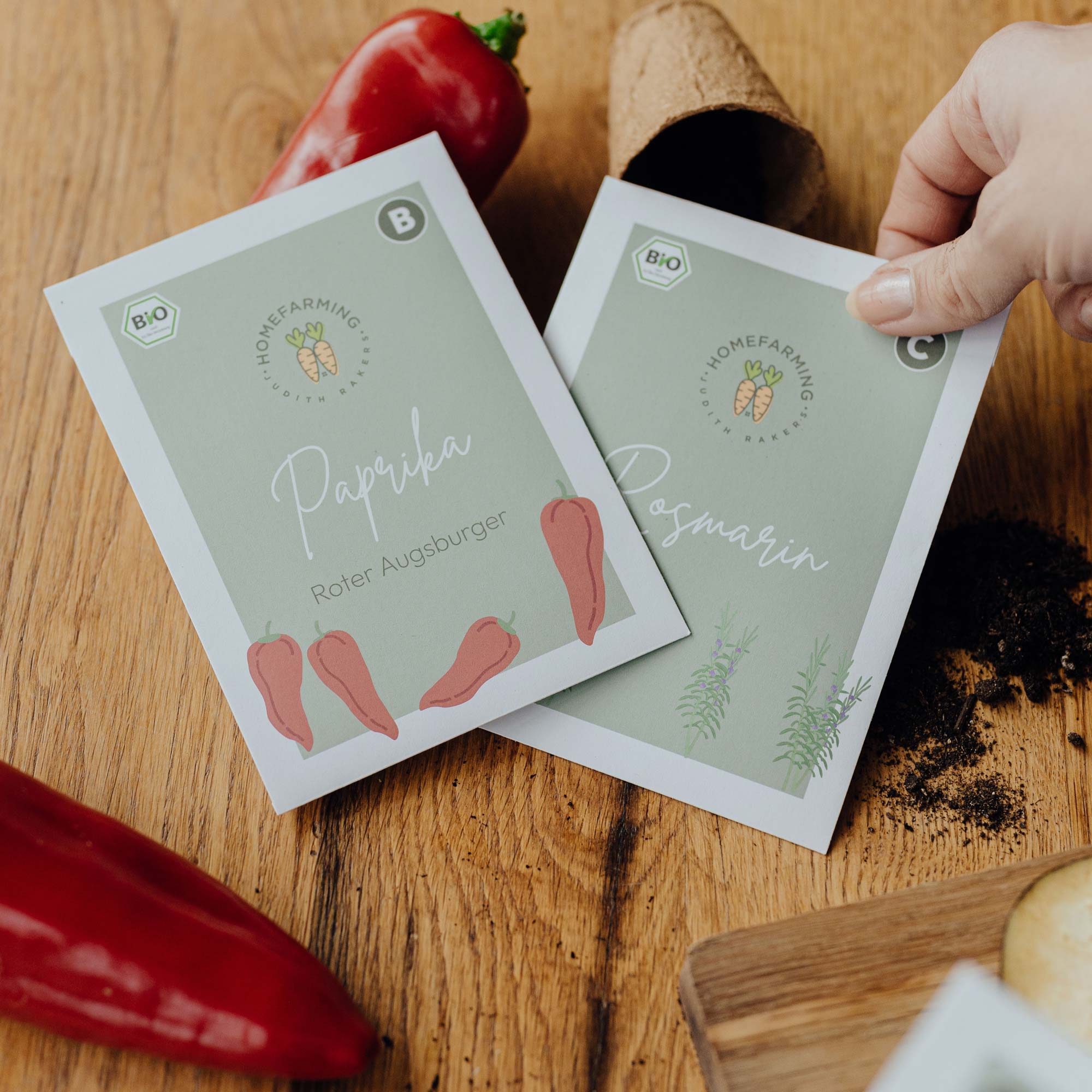 BIO-Saatgutbox Grillgemüse