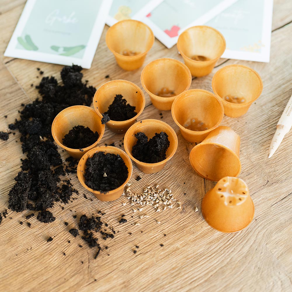 Homefarming - Kleine Anzuchttöpfe